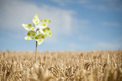 OSAMA白羊座2026年3月运势