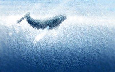 OSAMA金牛座2025年3月运势