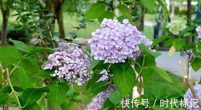 3月上旬有横财收入 婚姻幸福 出入平安的生肖