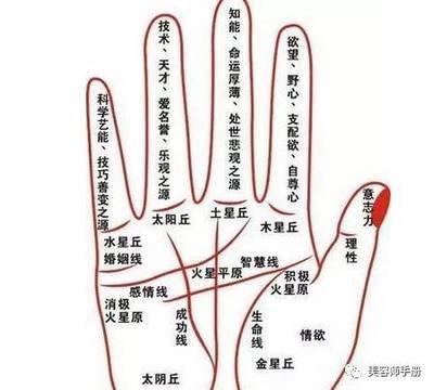 3种大富大贵男人手纹 这些手纹的男人会富贵