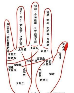 3种手纹的女人命好图 这几种手相的女人命真好
