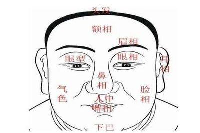 3种眼型你是其中哪种 眼型如何看命运
