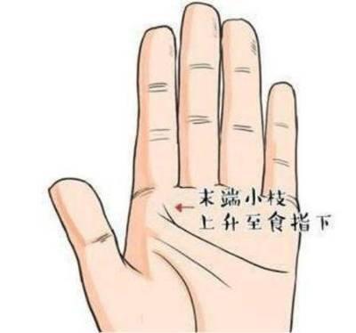 3种预示着女人命苦的手相 这些手相的女人命苦