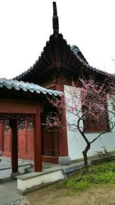 东四宅是什么意思(男人东四命是什么意思)