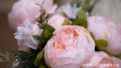 “红鸾”星动会改善哪些生肖的2025年桃花运