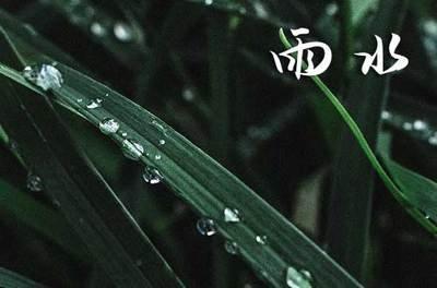 2025年雨水是什么时候 2025雨水节气是哪天