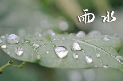 2025年雨水是什么时候 2025雨水节气是哪天