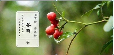 2025年雨水是几月几日，2025年雨水是哪天