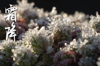 2025年霜降是什么时候 2025霜降节气是哪天