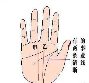 两条事业线代表了什么 有两条事业线是啥意思