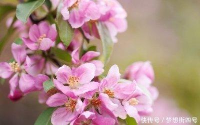 4月底吉星改运 工作顺心 有机会发大财的三大生肖