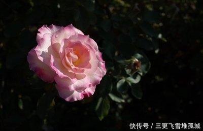 4月底吉星改运 工作顺心 有机会发大财的三大生肖