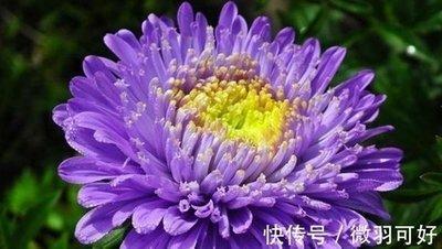 4月底工作迎好运 有机会提升职位 增加薪金的生肖