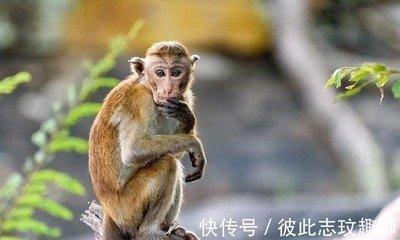 4月职场得意 升职加薪 赚钱不用愁的三大生肖