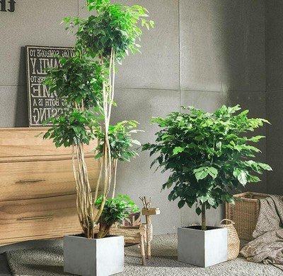一定不能错过的破财厕所的风水 家里一定不能有