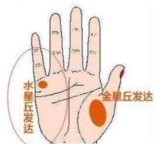 4种偏财运极好纹路手相 什么样的人财富享受不尽