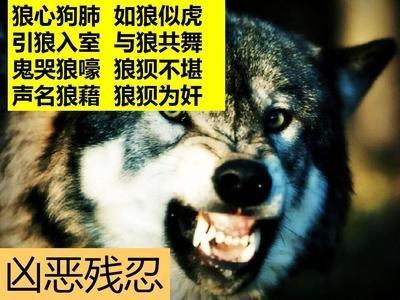 一片狼藉是什么意思(一片狼藉是什么意思狼狈不堪)