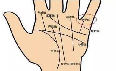 一生命好的女性都有着哪些手相特征呢
