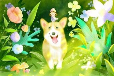 5月份出生的属狗的人命运是怎样