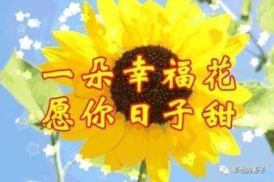 一生多福多寿的生肖女 生来福气就很好