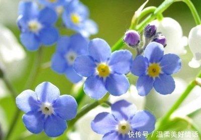 一生容易“发财”的四大生肖求财顺利