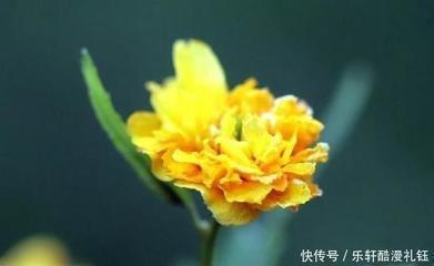 一生容易“发财”的四大生肖求财顺利