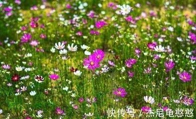 一生无忧无虑贵人相伴的星座女富贵安康