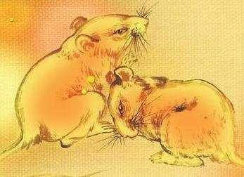 中年以后发财的生肖 人到中年会发财是什么生肖