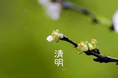66年属马人在2025年里需要注意些什么