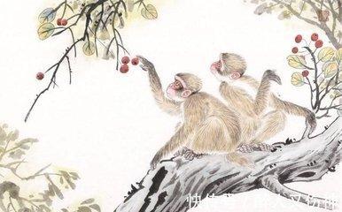 68年属猴女人的晚年运势怎么样 会不会幸福呢