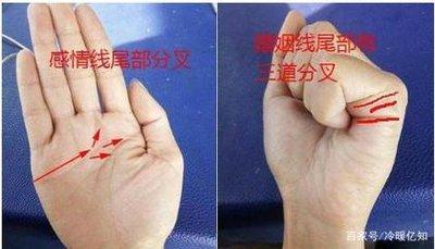 一看就懂感情线分叉图解大全 感情线有分叉好吗