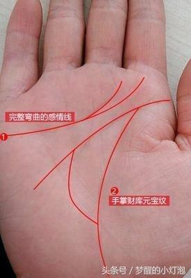 一看就懂感情线分叉图解大全 感情线有分叉好吗