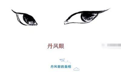 丹凤眼命运如何 分析丹凤眼的人一生运势