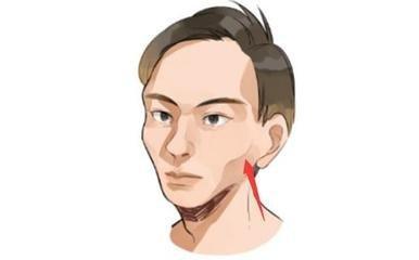 一眼便知这几种面相的人容易受小人暗算