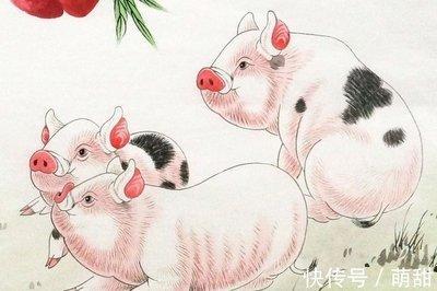 71年猪2025运程 谁会给他们提供帮助