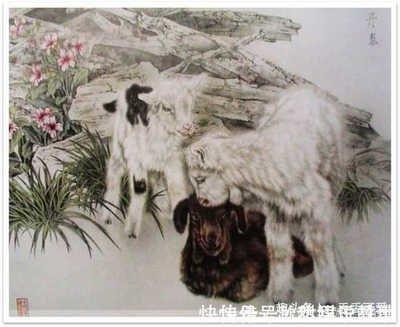 一辈子带财旺夫的生肖 生来就是旺夫命的生肖女