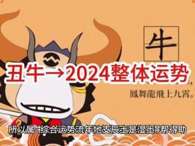 72年的女鼠2025年运势分析 什么运气最好