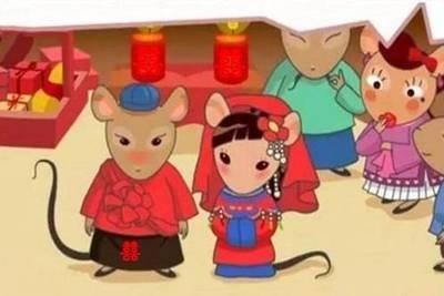 2025本命年可以结婚吗 属鼠人今年结婚好不好
