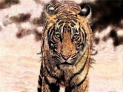 74年属虎本命年的大忌 74年属虎啥命