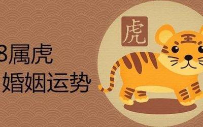 74年虎女2025年运势婚姻事业分西