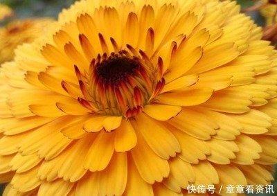 为人最老实的生肖男 对妻子体贴又照顾