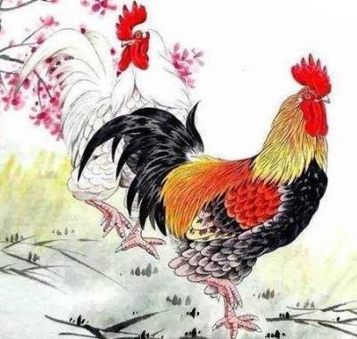 2025生肖鸡的贵人 谁是属鸡人今年的贵人 2025生肖鸡的贵人 谁是属鸡人今年的贵人