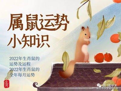 2025生肖鼠的运势 蛇年什么运最好