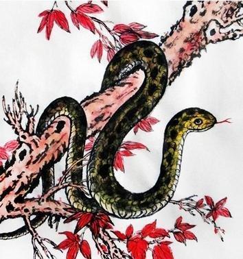 77年属蛇人在42岁时会遭遇什么劫难