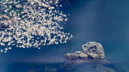 七政四余2025年10月天蝎座运势 七政四余2025年10月天蝎座运势