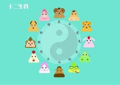 2026运气最旺的生肖 运势最好的是哪几个生肖