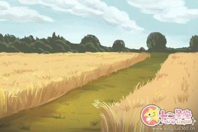 七政四余2025年双鱼座运势精华版