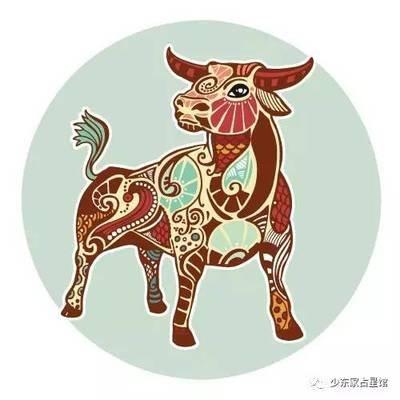 七政四余2025年金牛座运势精华版