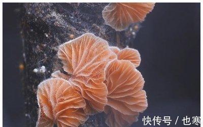 为什么最近特别倒霉，倒霉的原因是什么