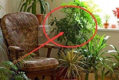 七种破财风水　小心负债累累(图文)